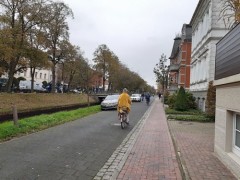 Bis zum Ende denken: Verkehrsausschuss diskutiert Maßnahmen zur Förderung des Radverkehrs