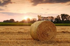 Ideen für die Landwirtschaft von morgen