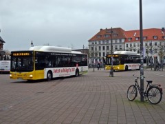 Enge Verbindung. Regional- und Stadtbusverkehr zwischen Ammerland-Oldenburg deutlich verbessert