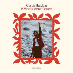 Soundcheck: Curtis Harding - If Words Were Flowers