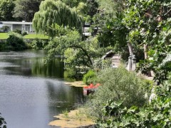 MoX - Neues aus der Hauptstadt: Urlauben im Grunewald