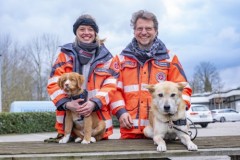 Ehrenamt auf vier Pfoten